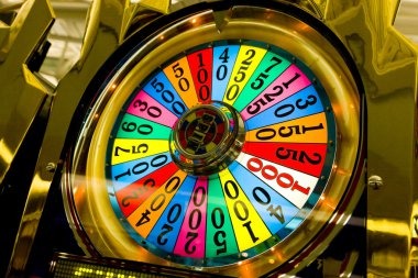 Starlight Princess cascading reel mechanics and live dealer studio interface